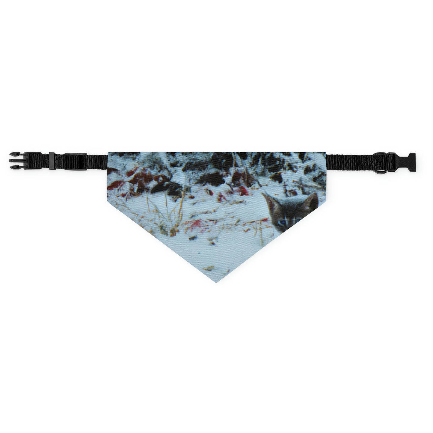 "Brave Kitten in the Frozen Storm" - Das Alien Pet Bandana Halsband