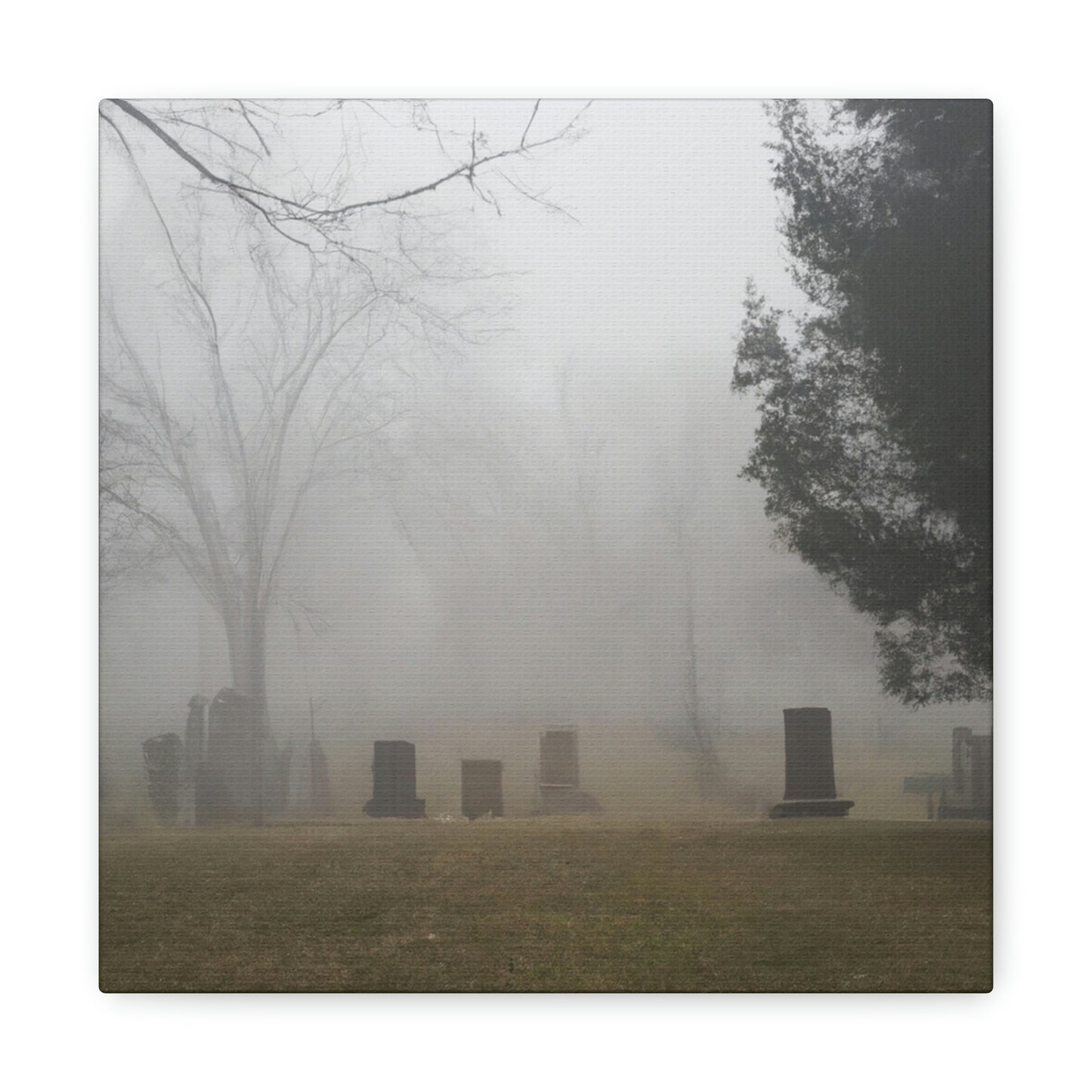 "Perdido en la niebla: un cementerio olvidado" - The Alien Canva