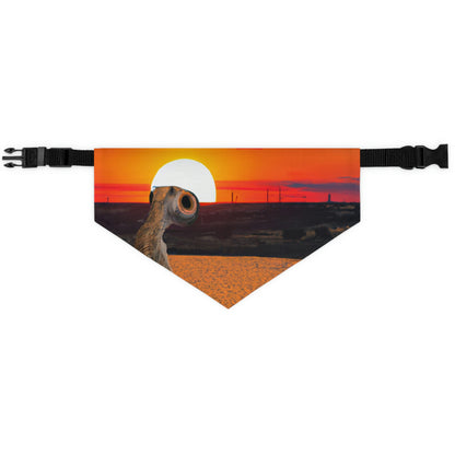 "Adiós al horizonte" - El collar de bandana para mascota alienígena