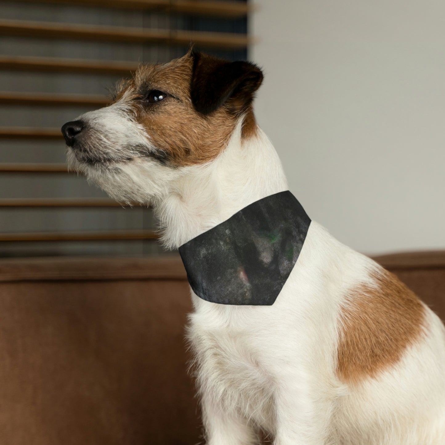 "A Lonely Flicker in the Darkness" - Das Alien Pet Bandana Halsband