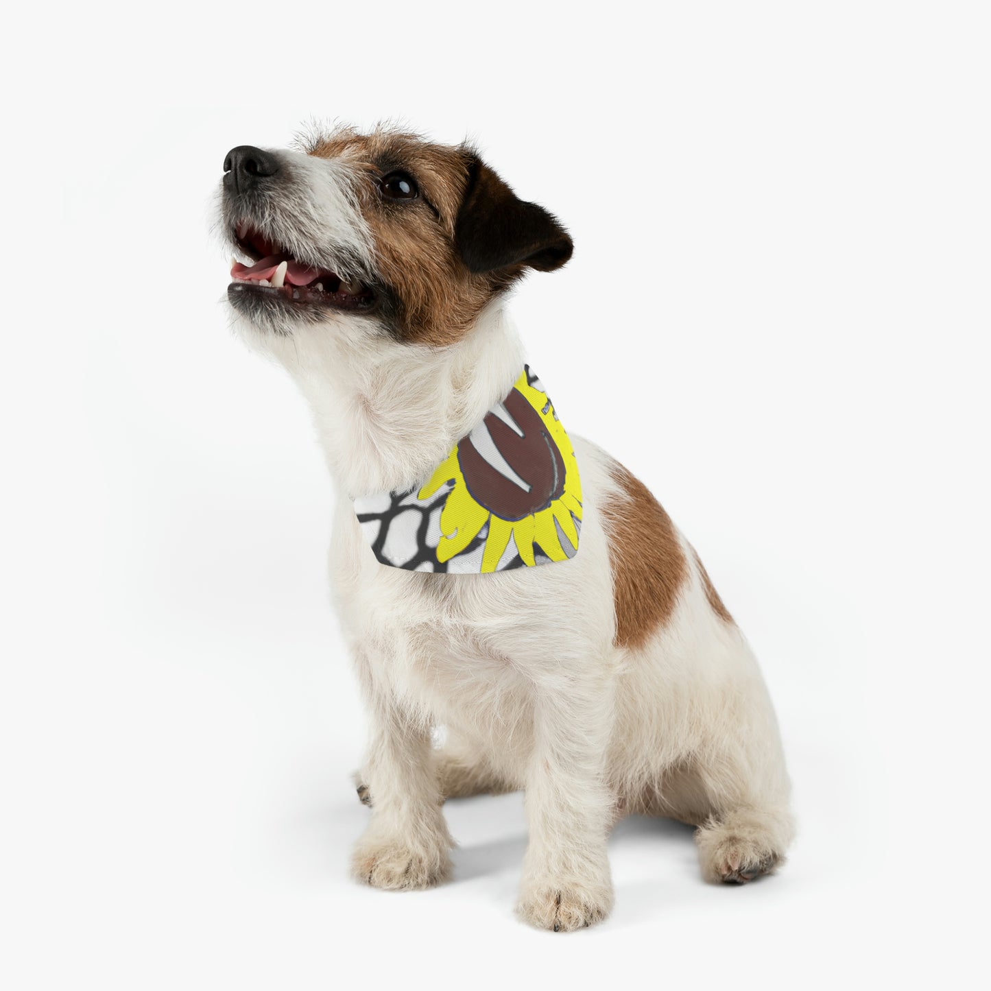 "A Sunflower Withering on a Parched Field" - The Alien Pet Bandana Collar