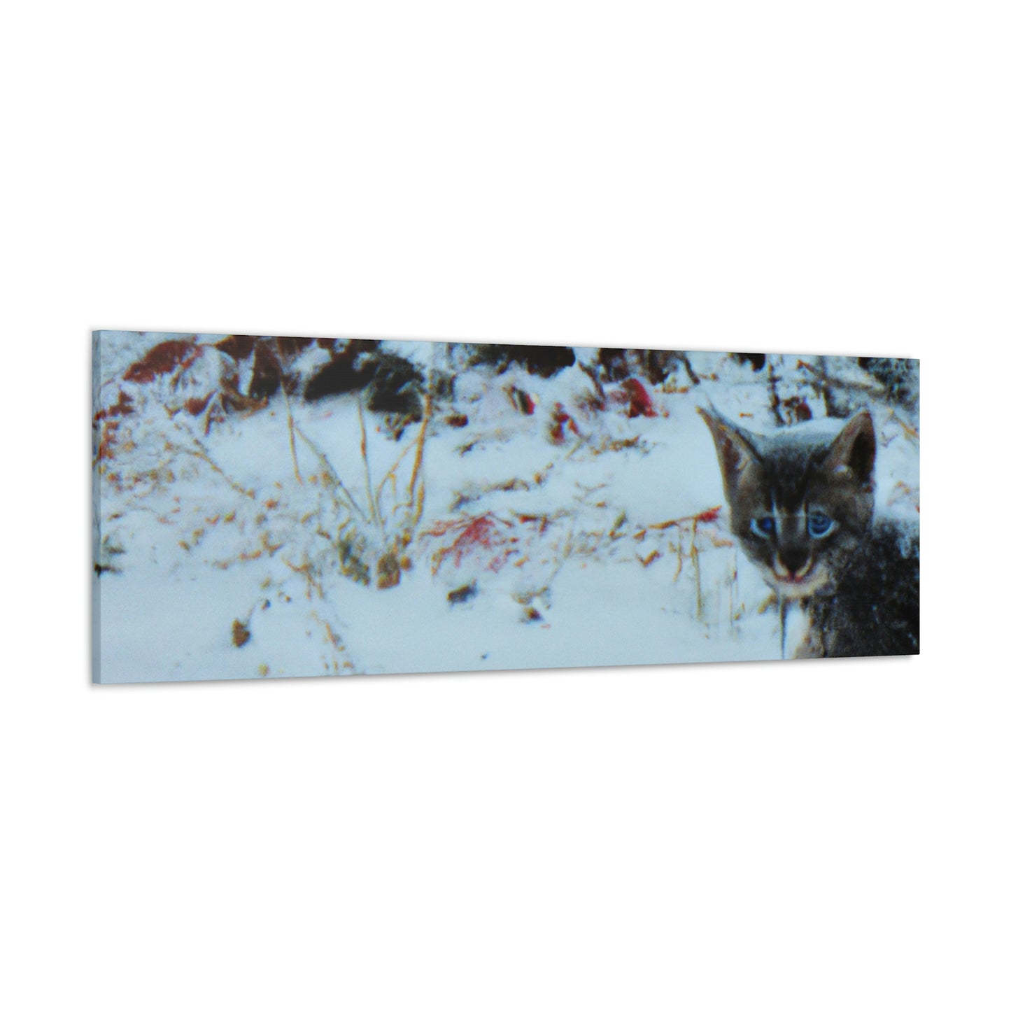 "Brave Kitten in the Frozen Storm" - The Alien Canva