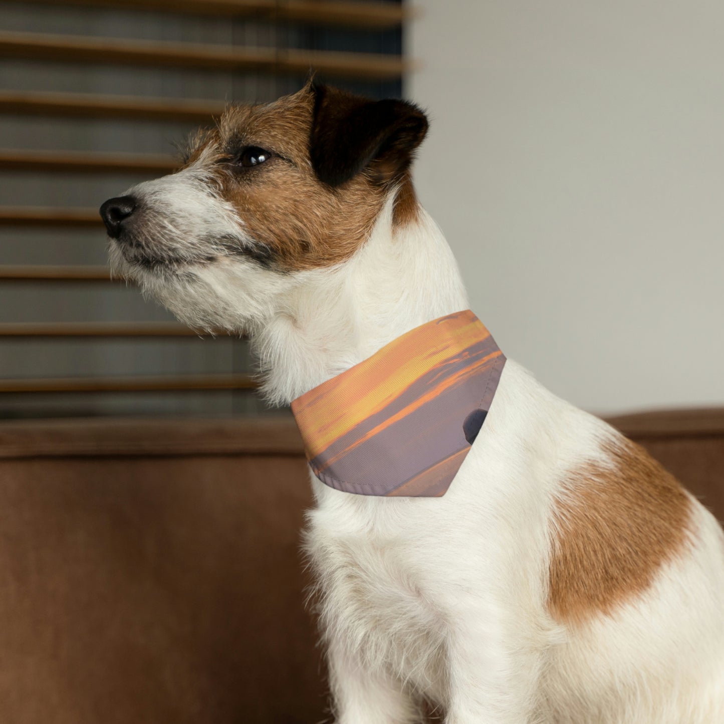 "Embracing the Evening" - El collar de bandana para mascota alienígena