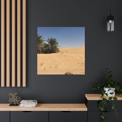 "A Desert Oasis" - The Alien Canva