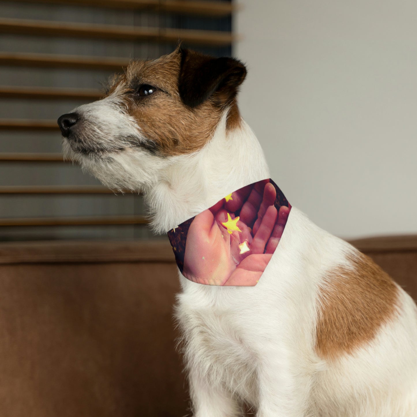 "Un deseo estrellado en mi bolsillo" - The Alien Pet Bandana Collar