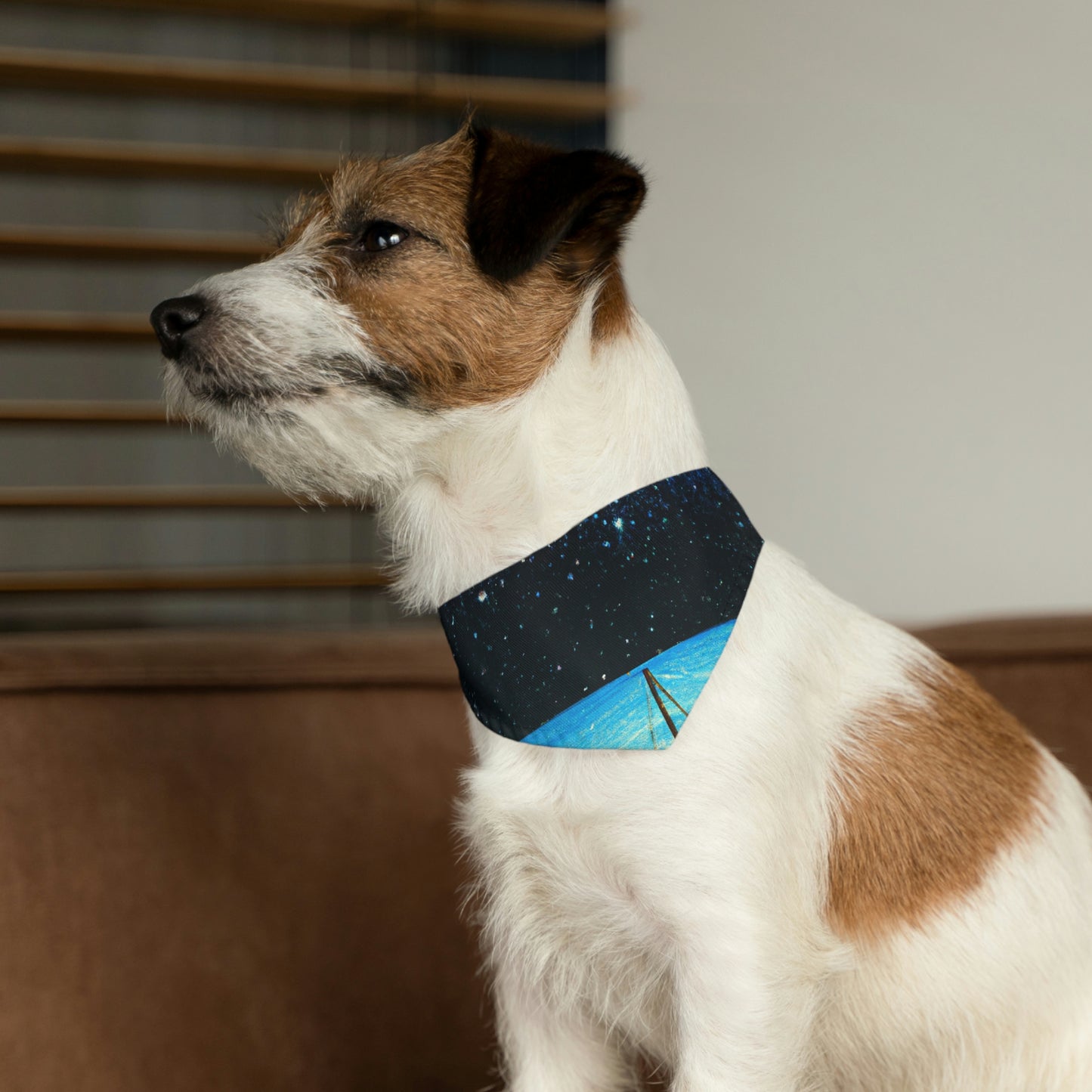 "Un viaje a la luz de las estrellas". - El collar de bandana para mascota alienígena