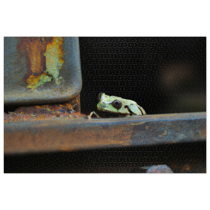 "A Tad Too Far: The Tale of a Train-Stuck Frog." - The Alien Jigsaw Puzzle