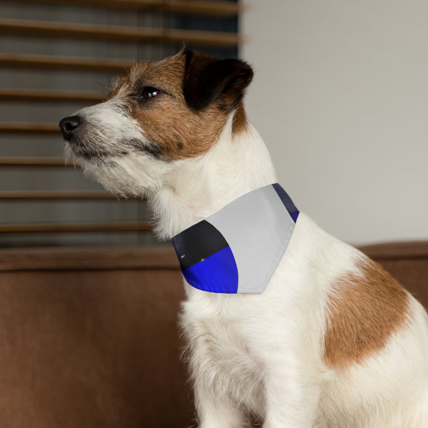 Ilusión del infinito: un viaje cósmico - El collar de bandana para mascotas alienígenas