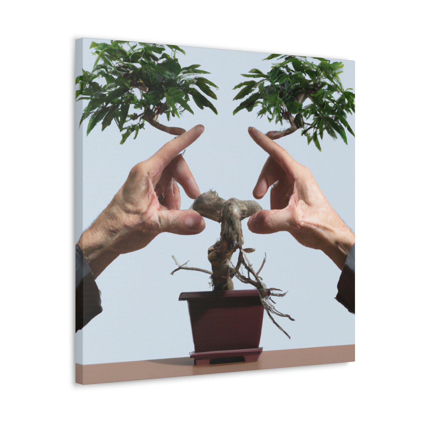 Bonsai Balance - Alex Art - Canvas