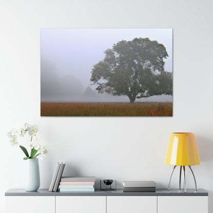 The Lonely Tree in the Foggy Meadow - The Alien Canva