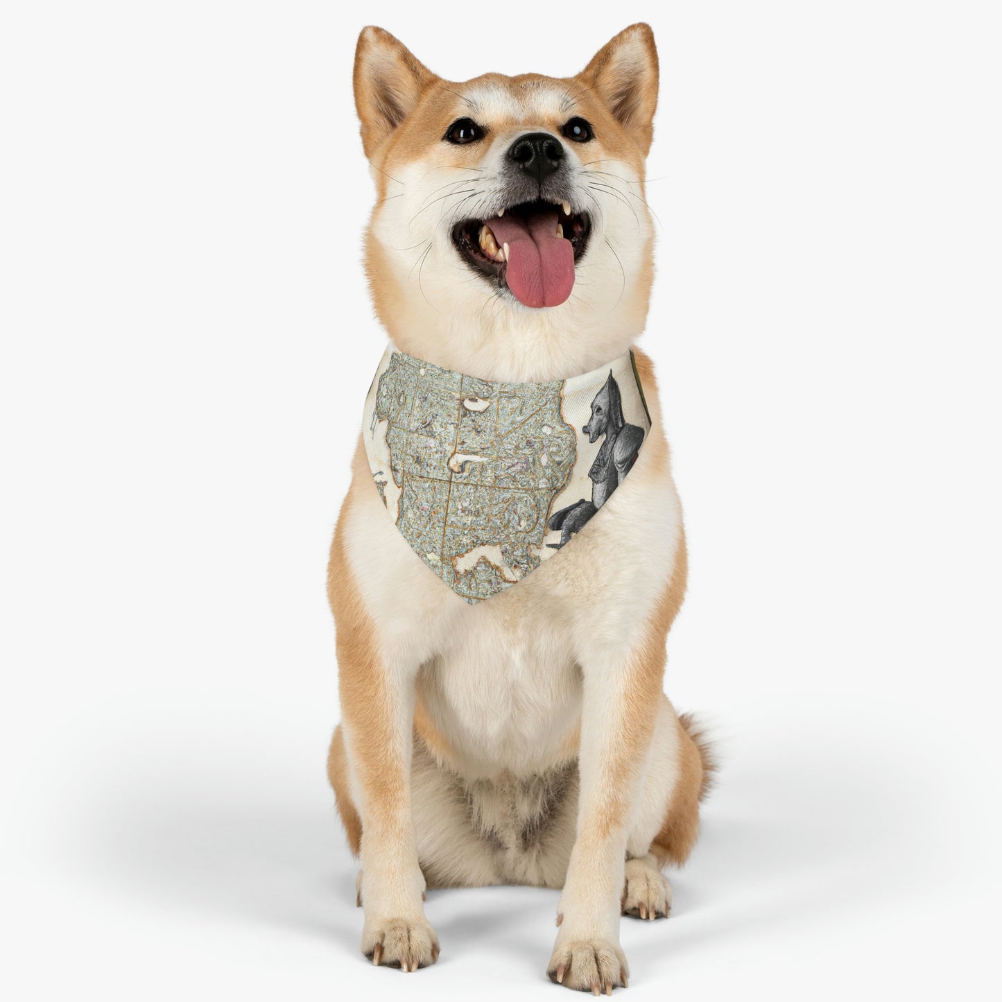 "The Knight and the Magical Map" - The Alien Pet Bandana Collar #nft