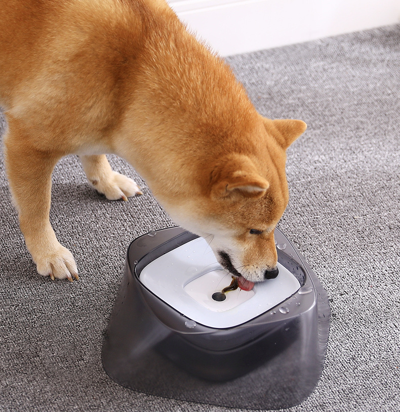 Cuenco para perro, flotante, sin mojar la boca, cuenco para gato, sin derrames, alimentador de agua potable