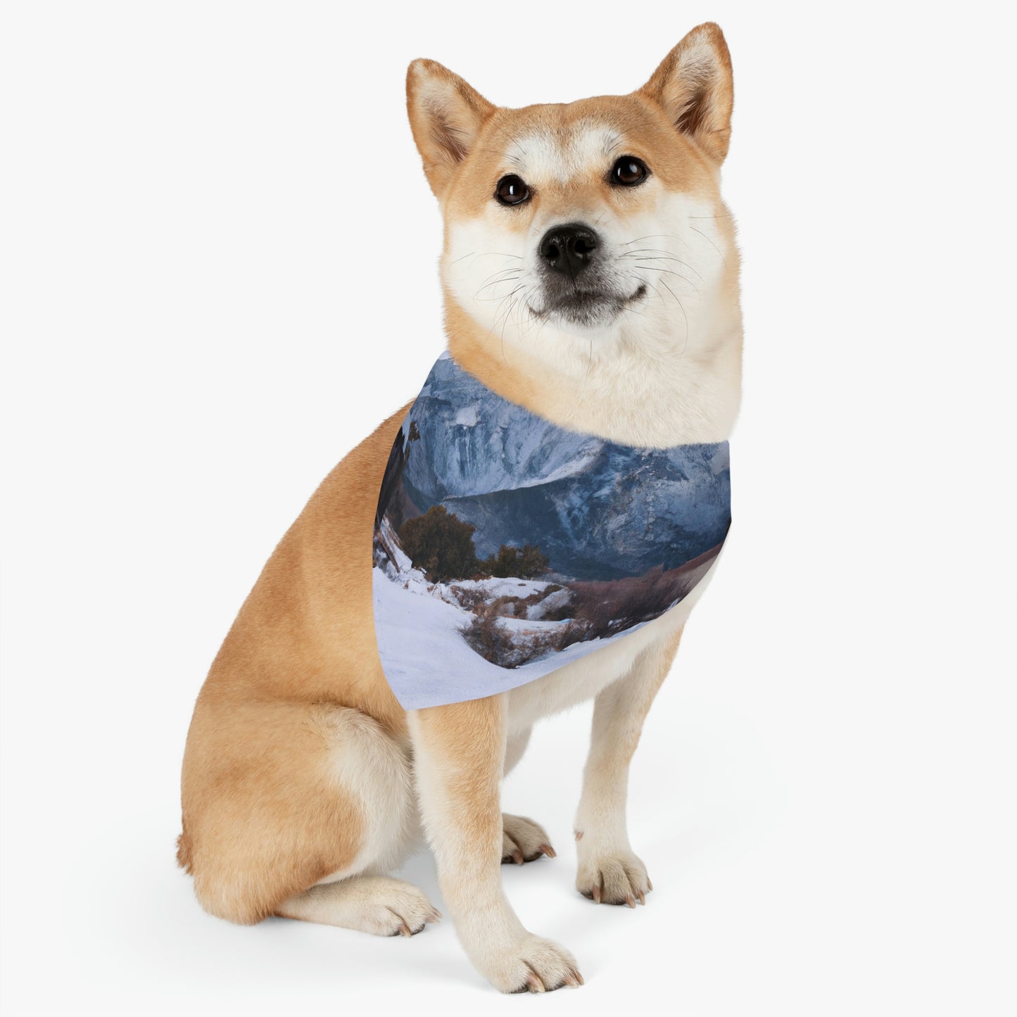 "Silent Peak: An Empty Town's Story" - The Alien Pet Bandana Collar