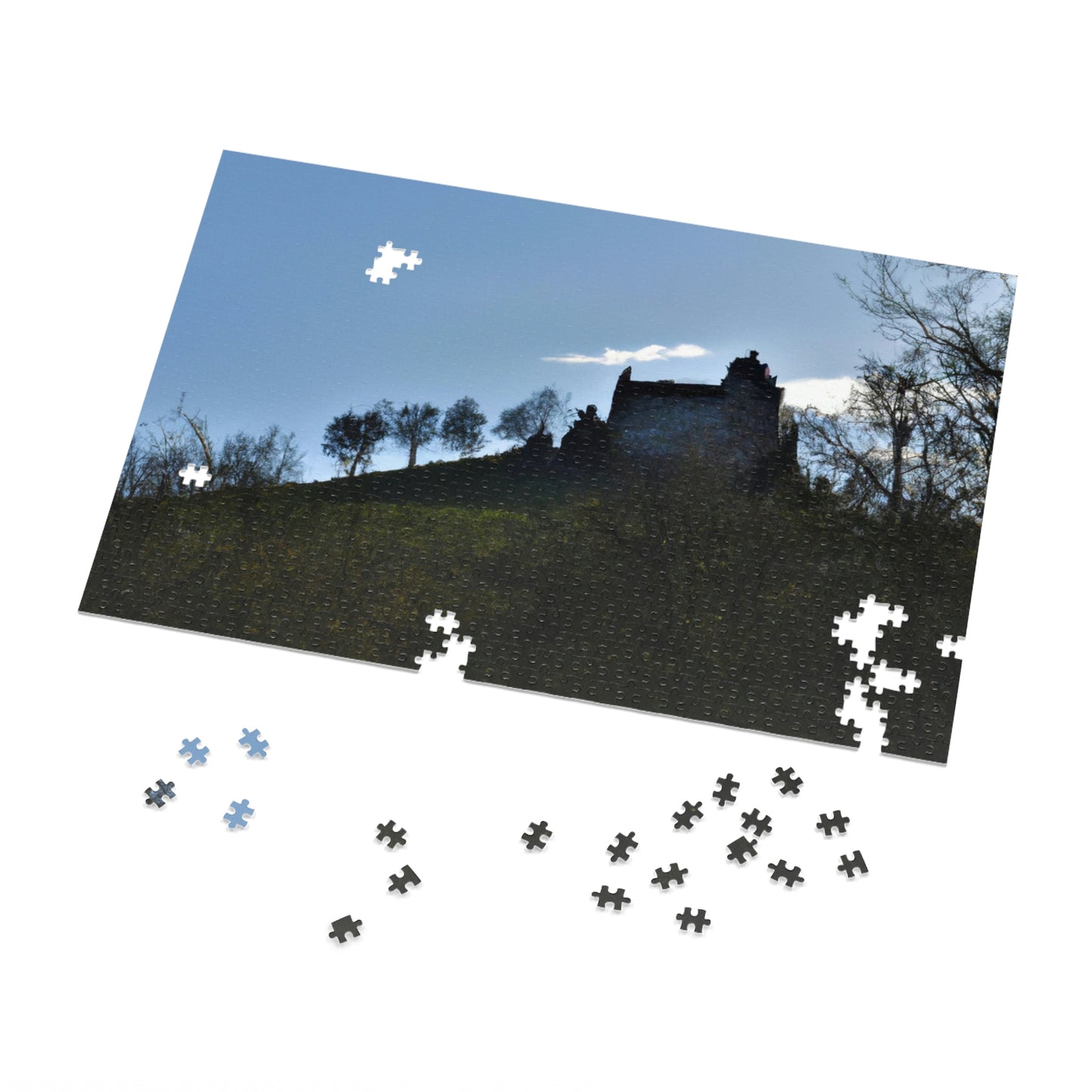 in a forgotten corner of the world

"The Forlorn Castle of Solitude" - The Alien Jigsaw Puzzle