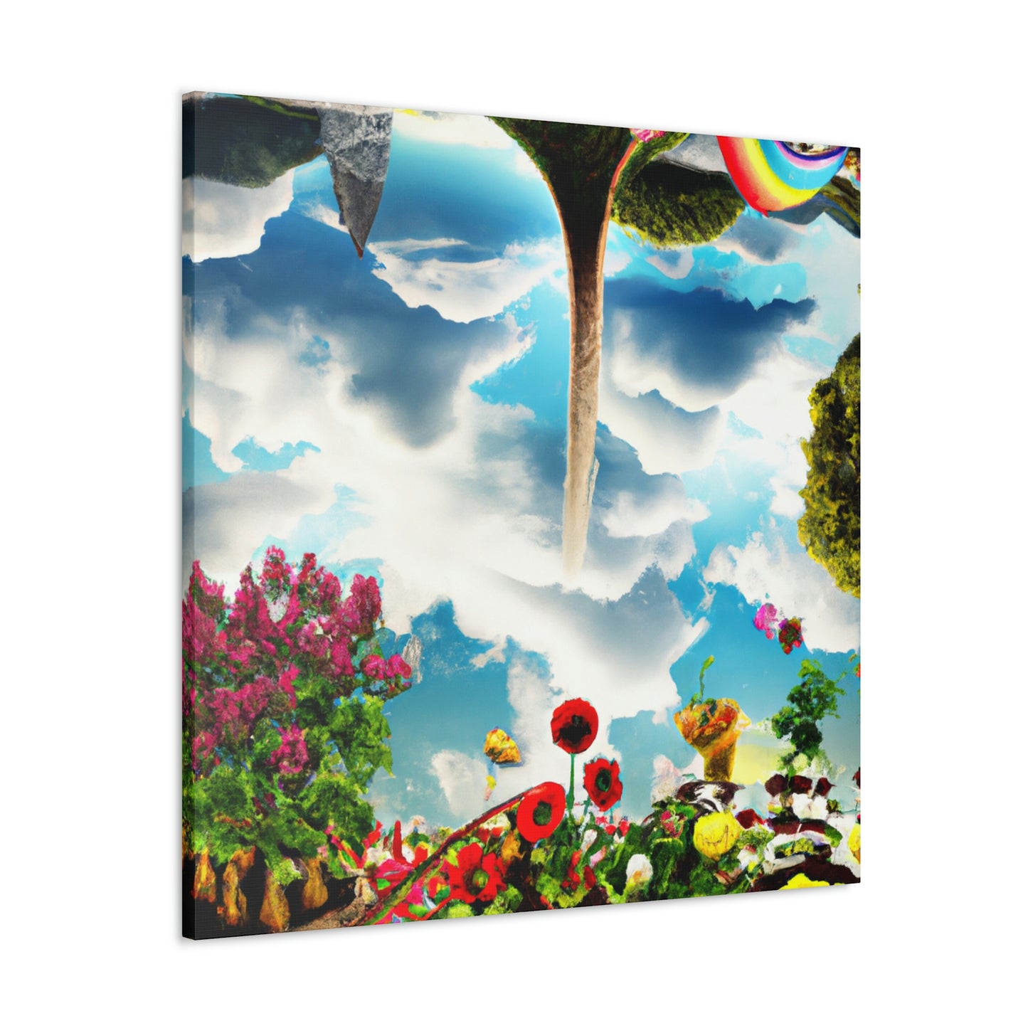 Rainbow Sky Garden - The Alien Canva