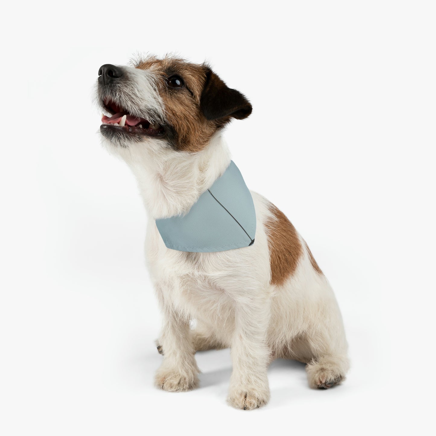 "A Wishful Flight" - The Alien Pet Bandana Collar