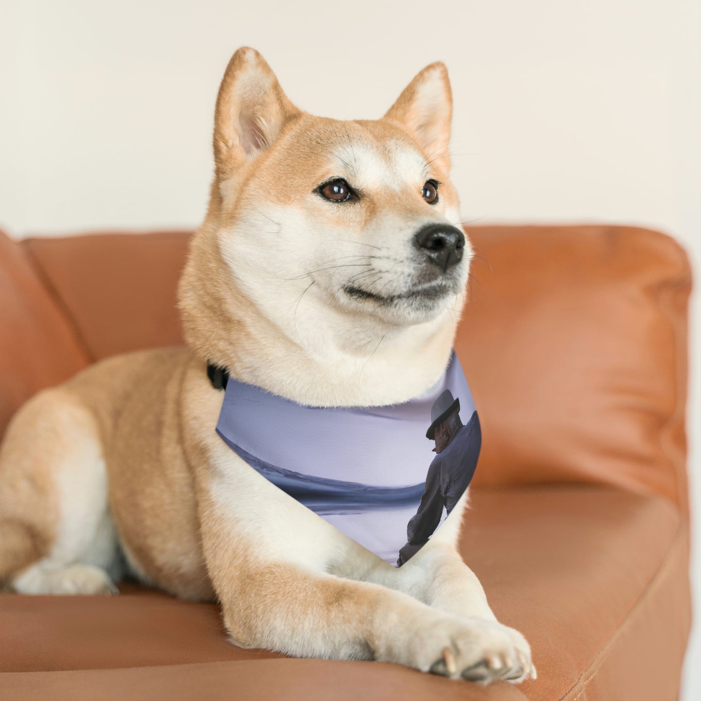 Reflejos de la luz de la luna en un lago tranquilo: el collar de bandana para mascotas alienígenas