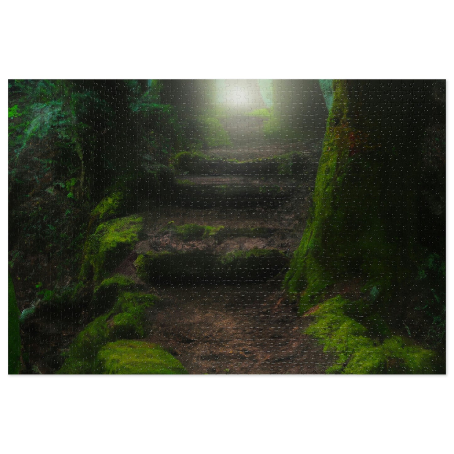 "The Forgotten Path of Magic" - The Alien Jigsaw Puzzle