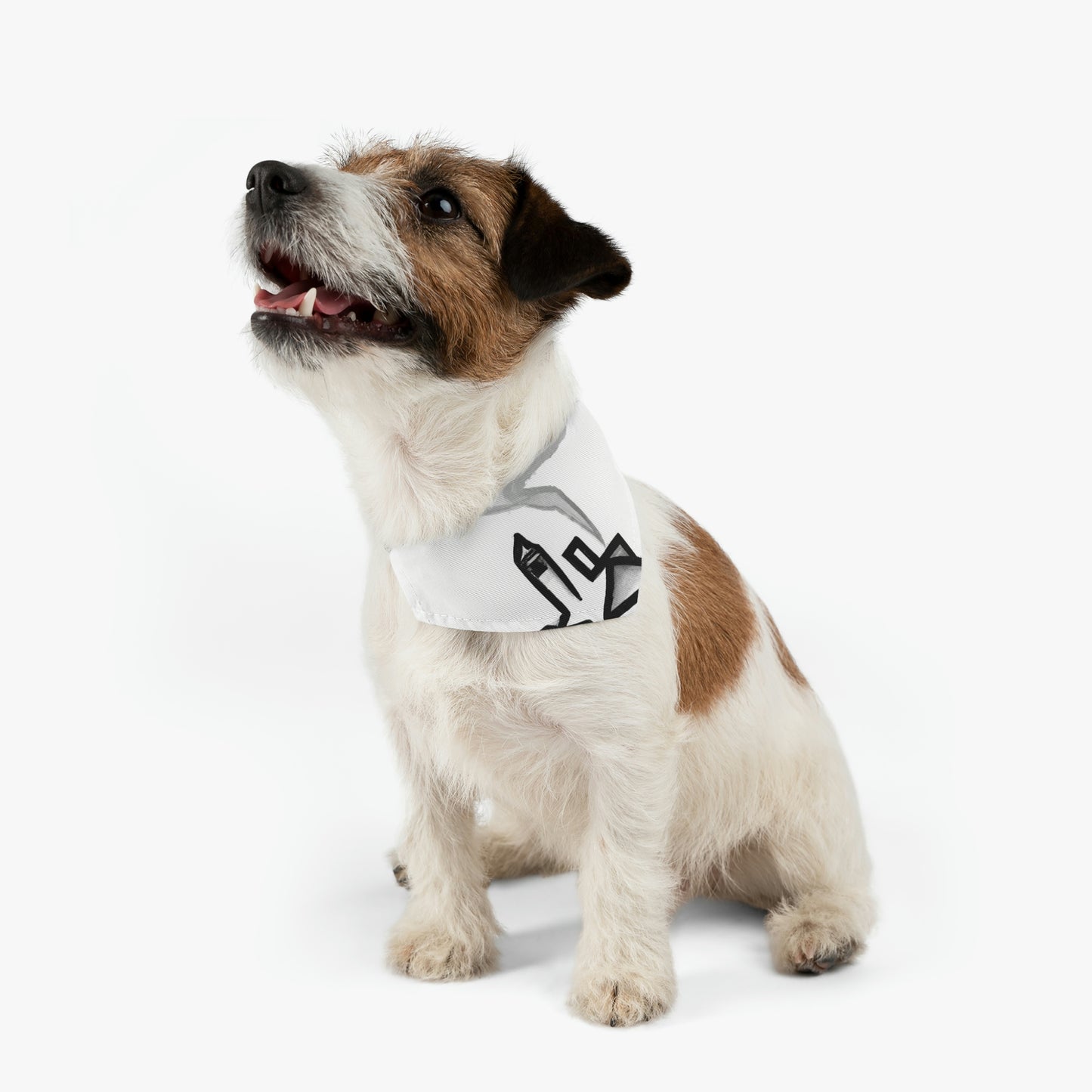 The City In The Mist - The Alien Pet Bandana Collar