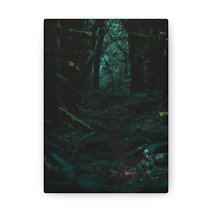 "The Mysteries of the Enchanted Forest" - The Alien Canva