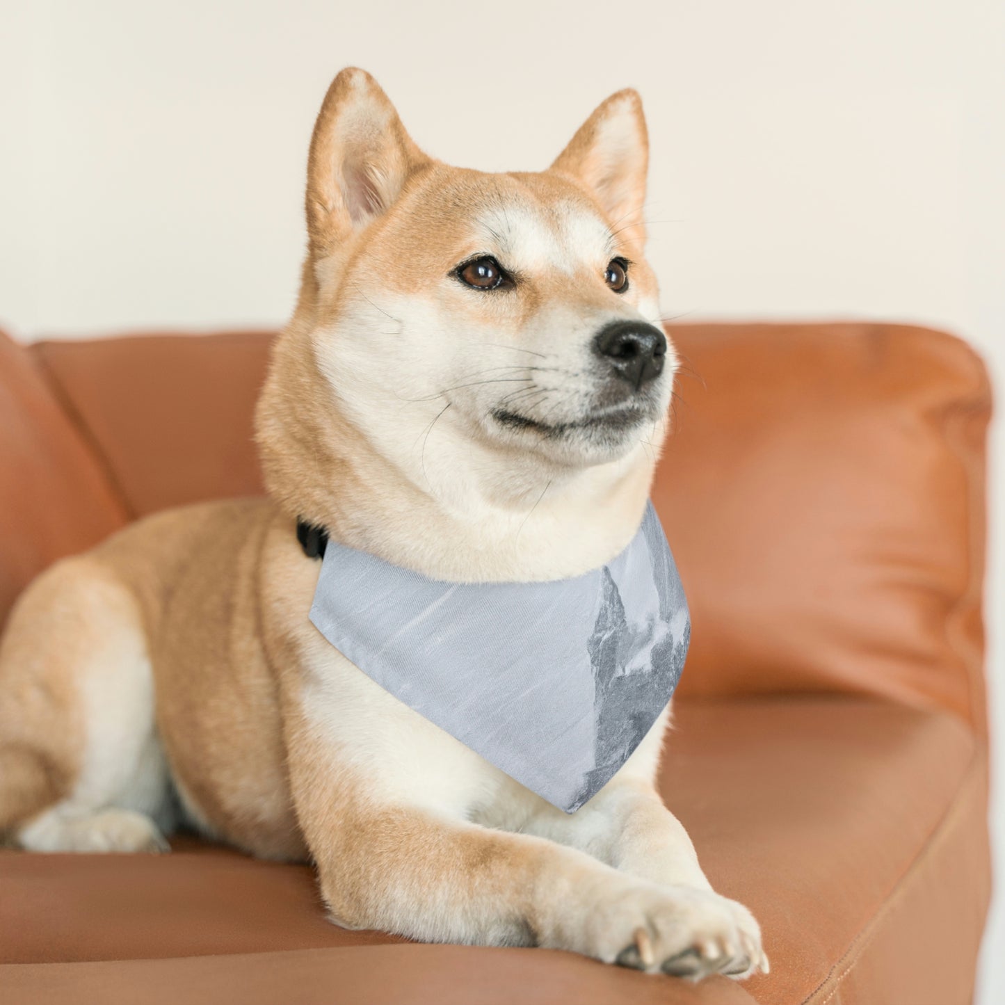 El castillo perdido dentro de la tormenta de nieve. - El collar de bandana para mascota alienígena