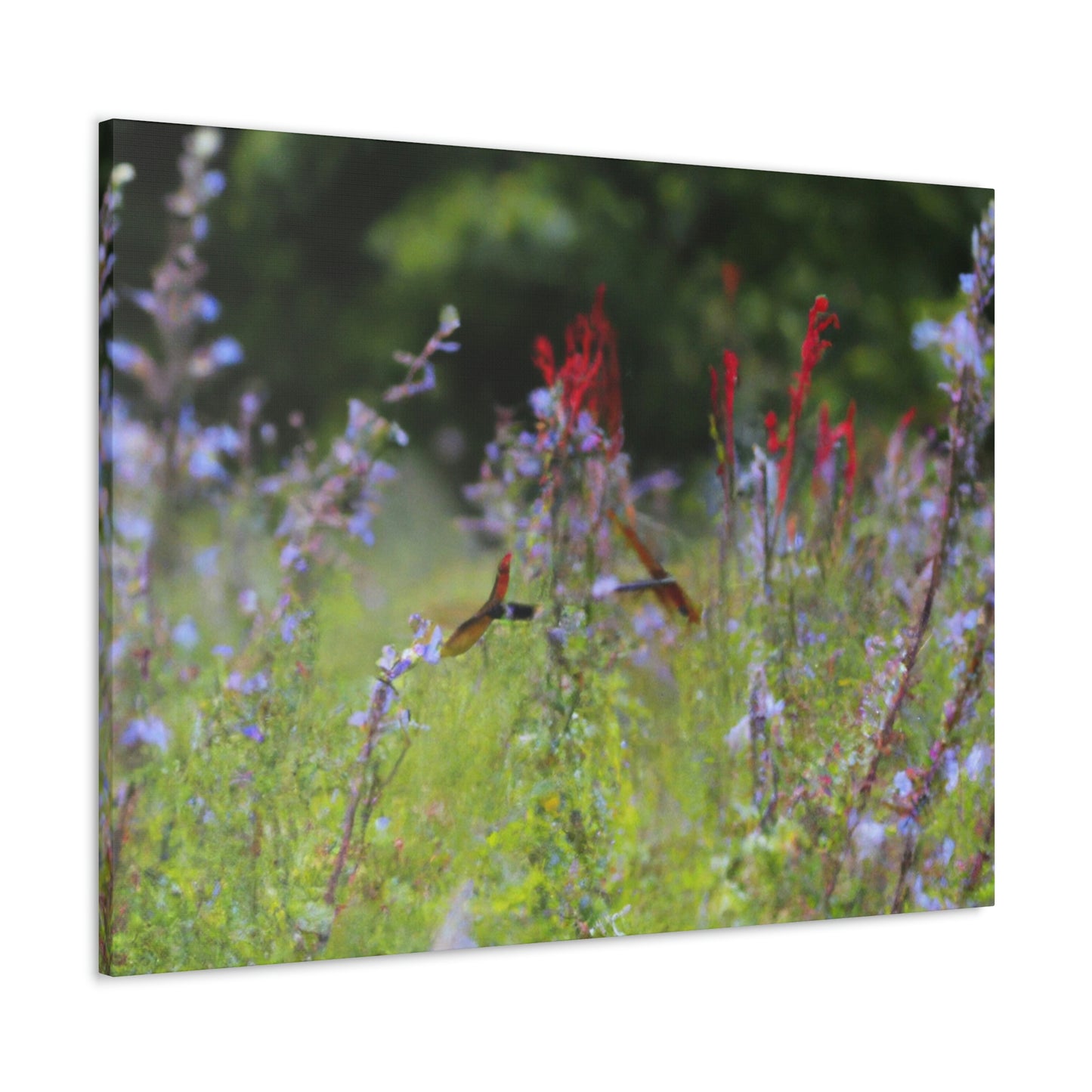 "The Dragonfly Ball in the Wildflower Meadow" - The Alien Canva