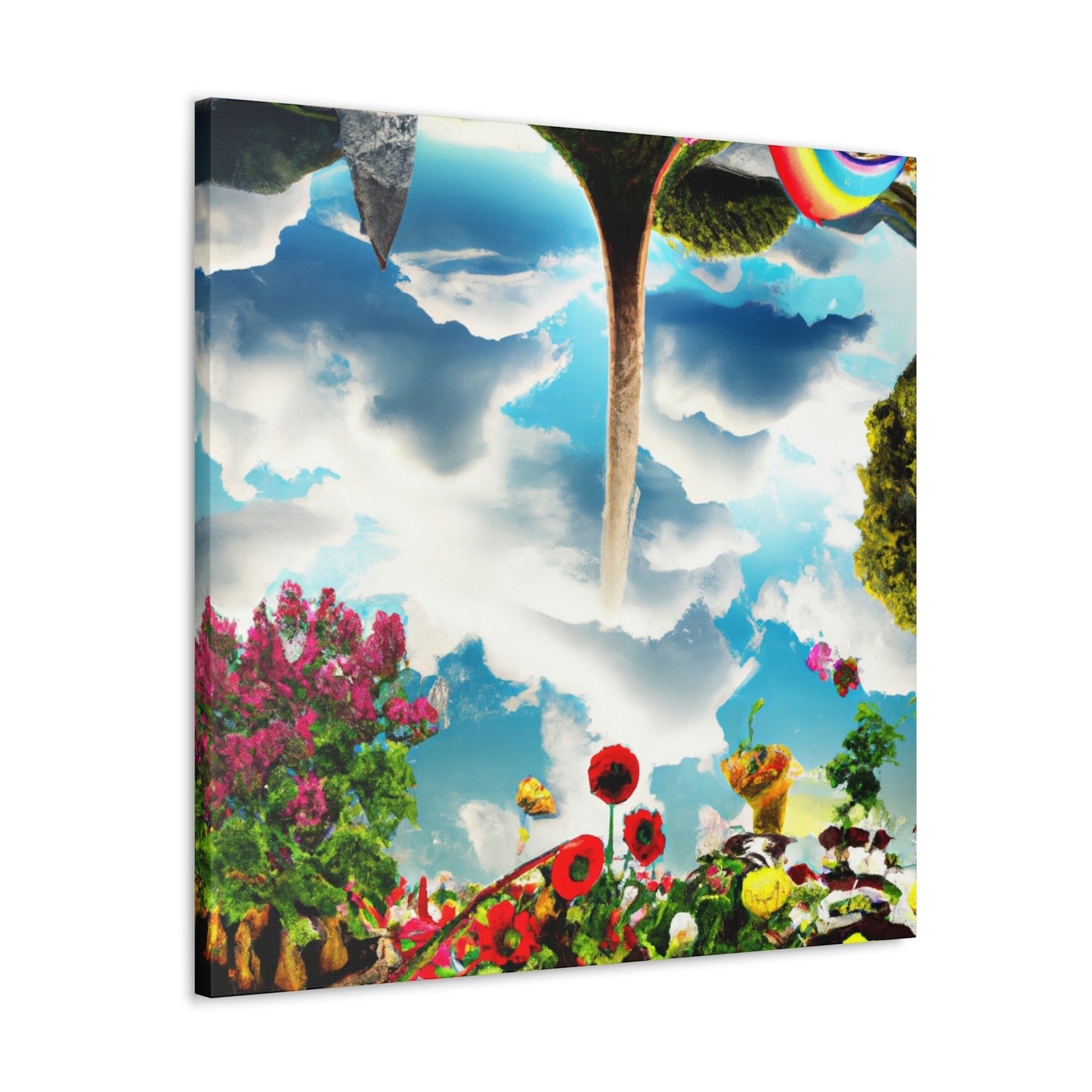 Rainbow Sky Garden - The Alien Canva