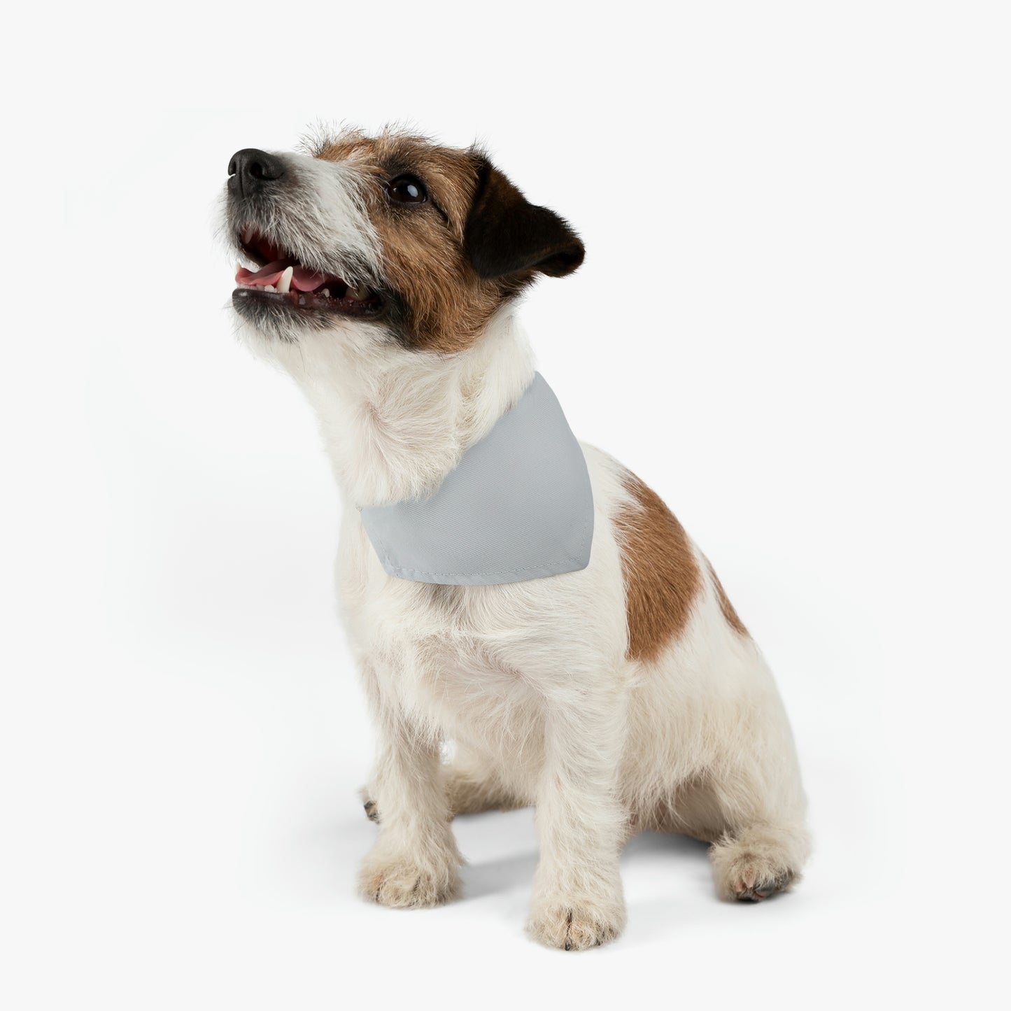 "Ascending Into the Clouds" - The Alien Pet Bandana Collar