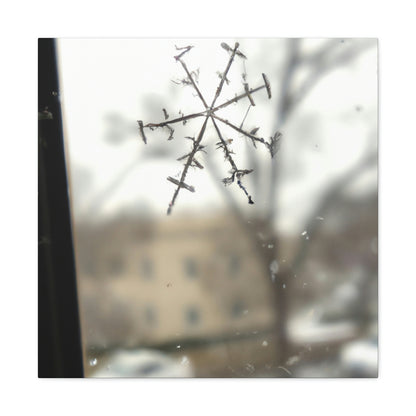 "Tiny Tragedy: A Snowflake's Story" - The Alien Canva