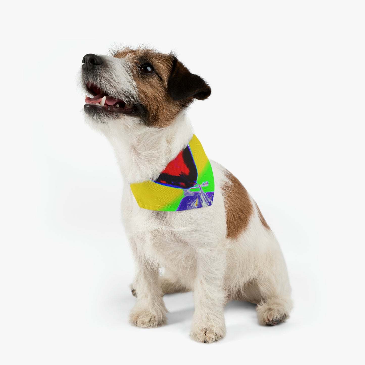 "Cozy Companions" - The Alien Pet Bandana Collar