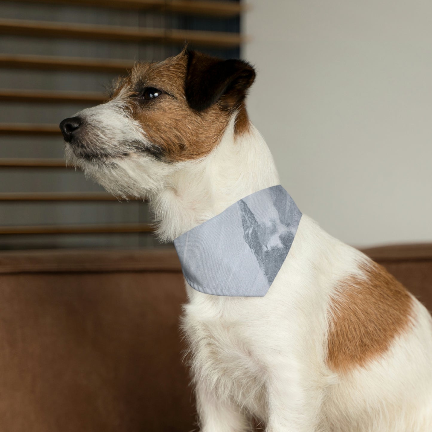 El castillo perdido dentro de la tormenta de nieve. - El collar de bandana para mascota alienígena