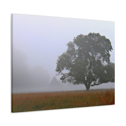 The Lonely Tree in the Foggy Meadow - The Alien Canva