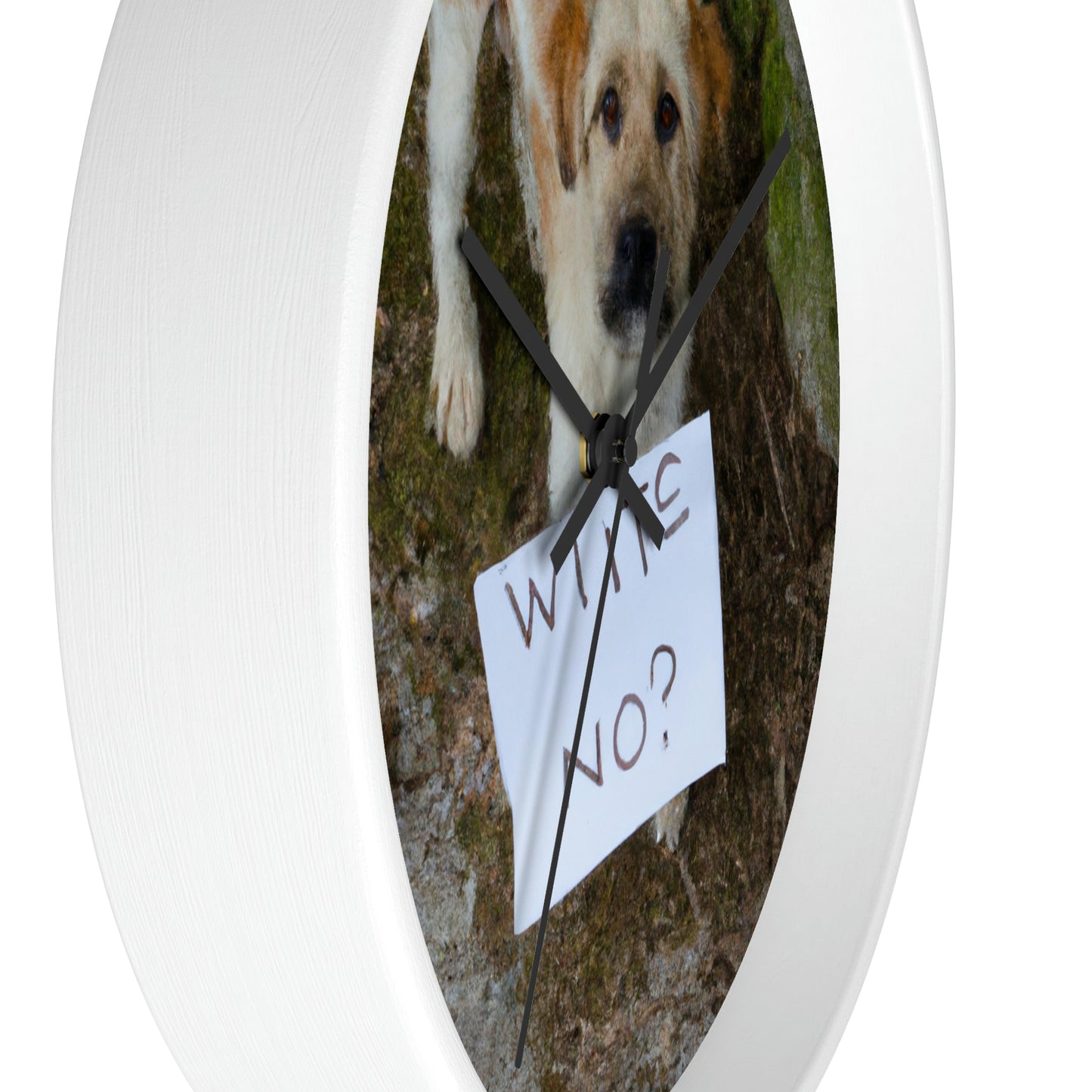 "A Heartbreaking Search: The Lost Dog's Plea for Reunion" - The Alien Wall Clock