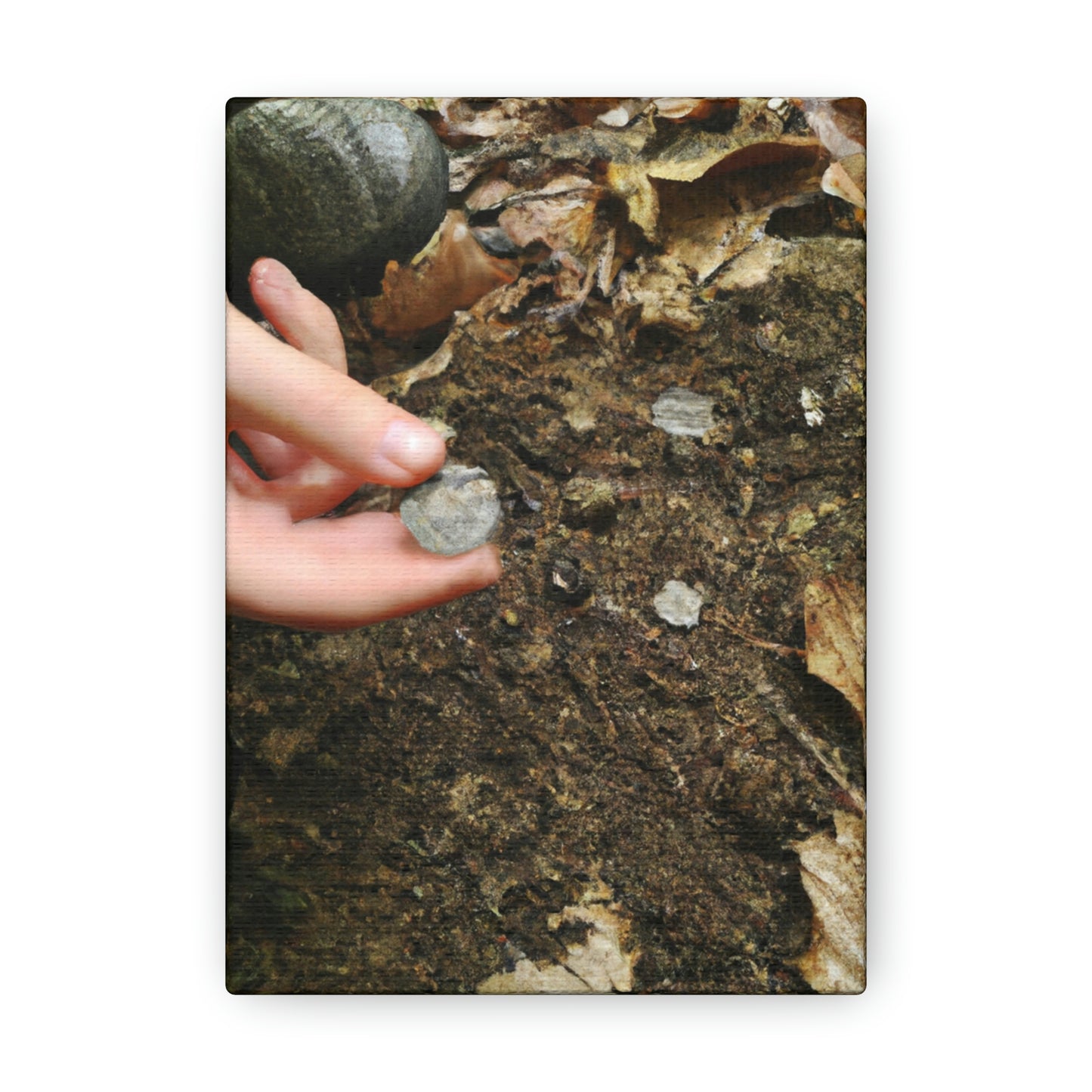 "Coin Questing in the Woods" - Die Alien-Canva