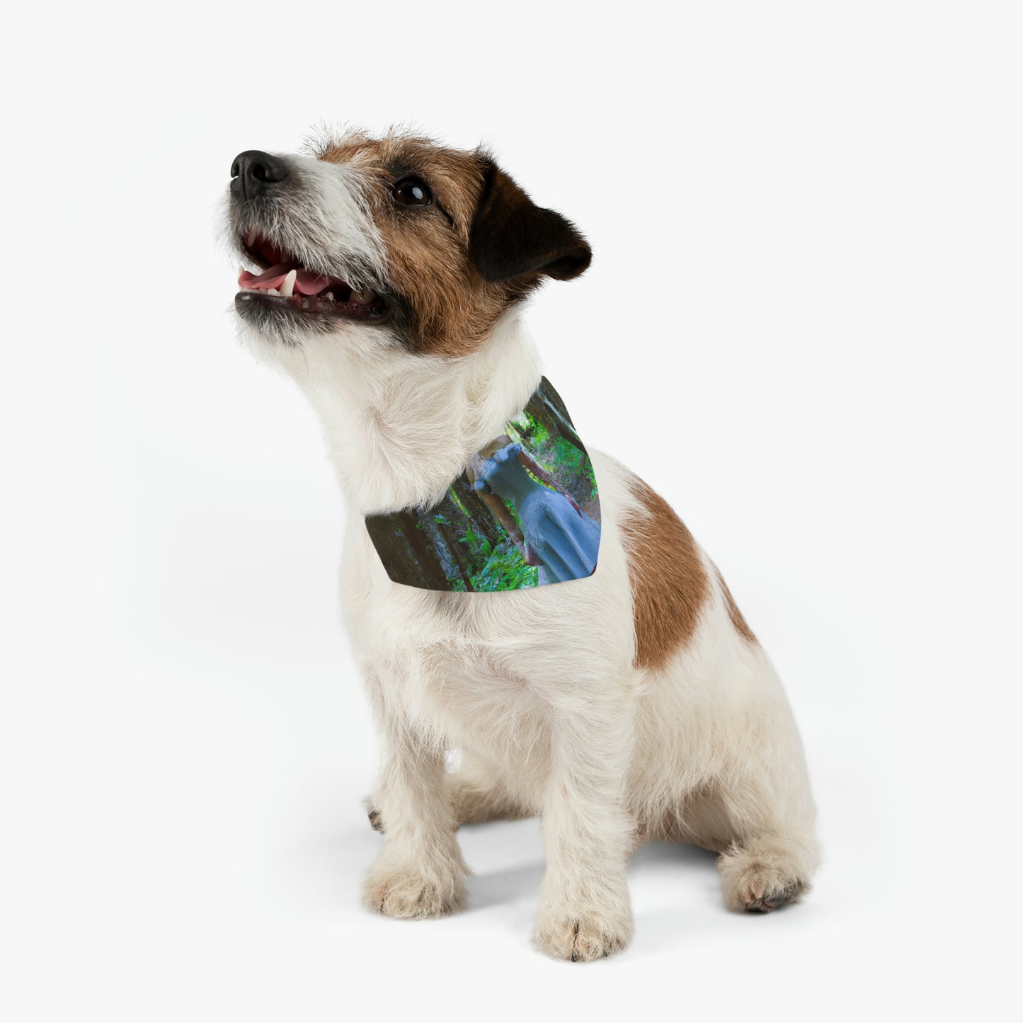 Tales from the Enchanted Forest - The Alien Pet Bandana Collar