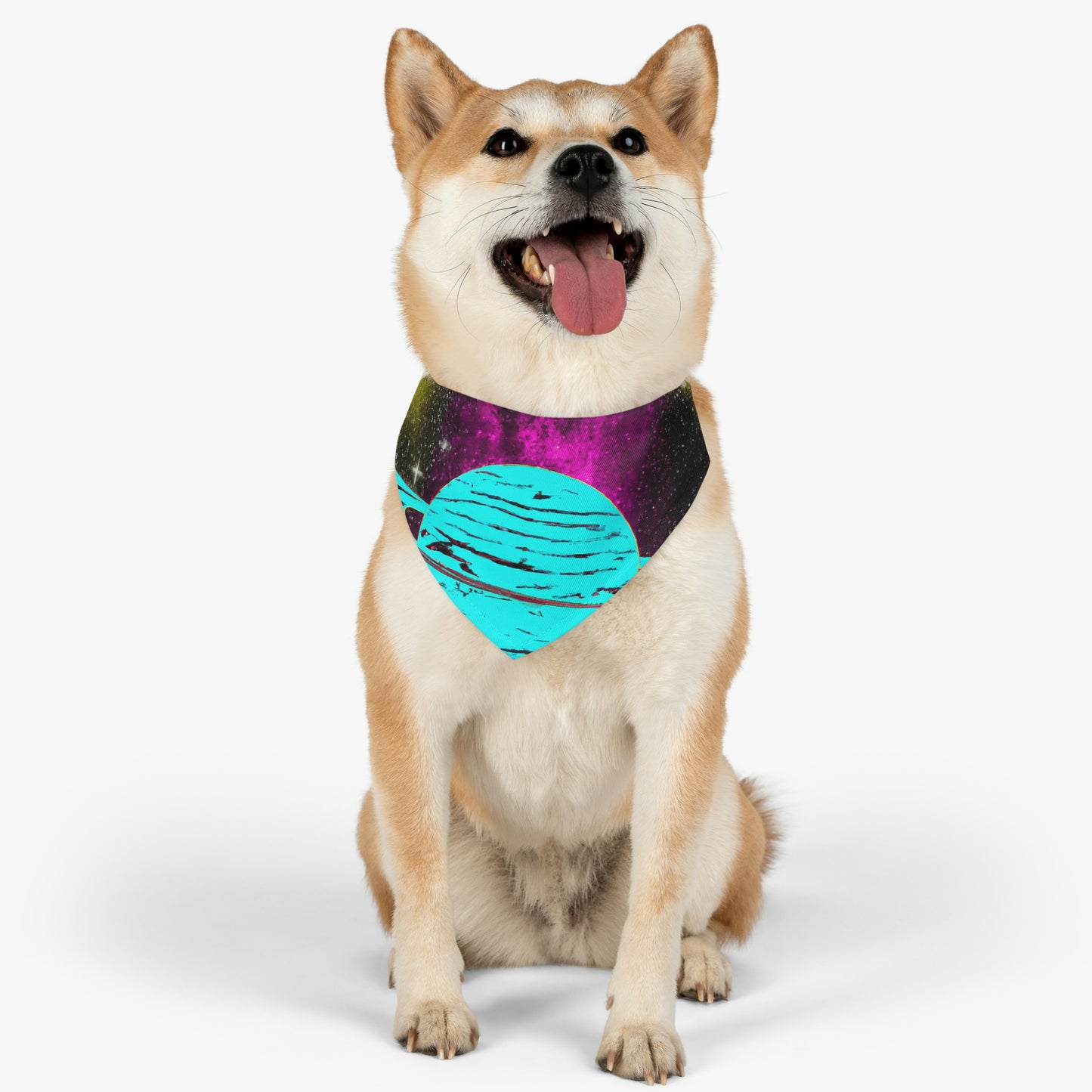 "A Star Forsaken" - El collar de bandana para mascota alienígena