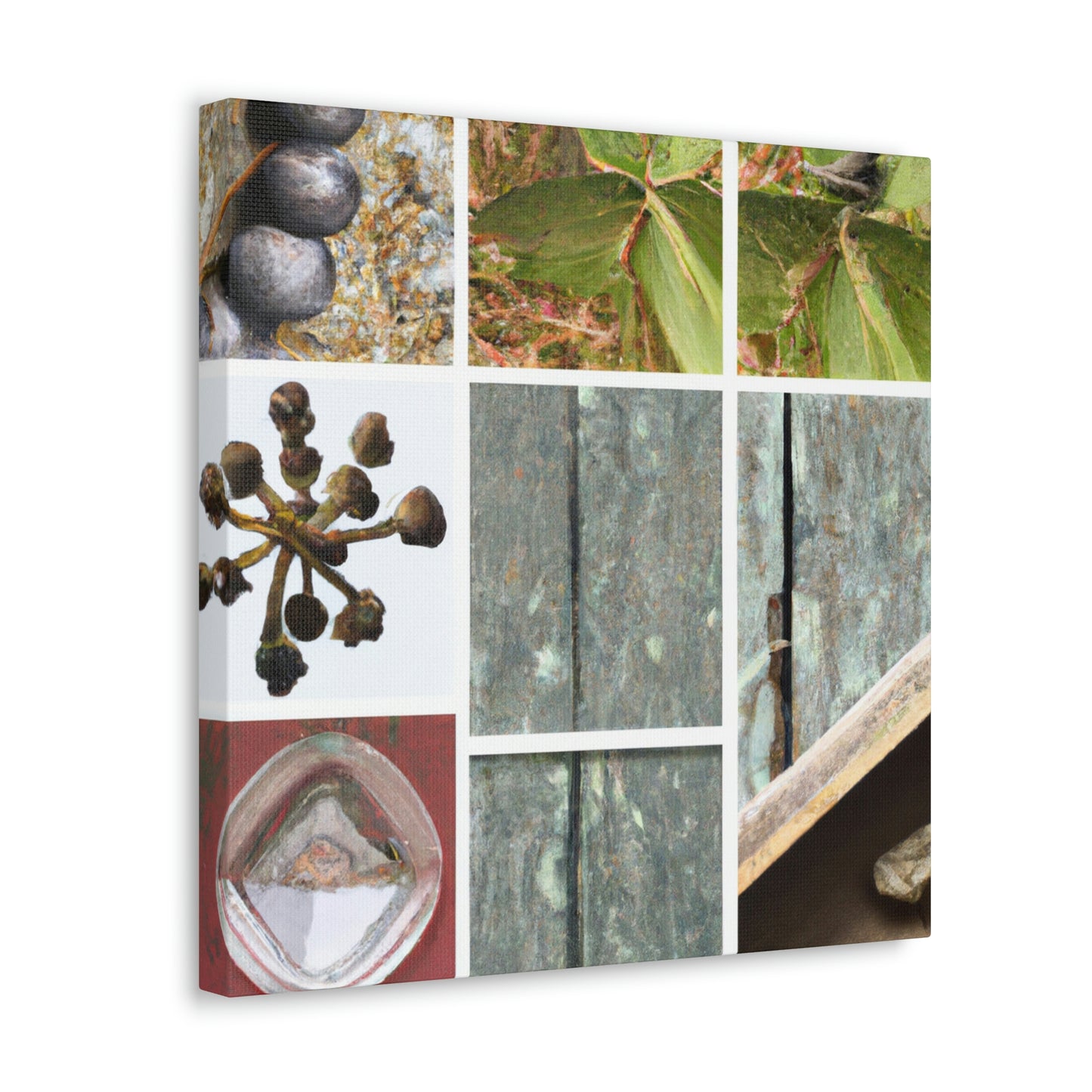 "Nature's Treasures: Celebrating the Beauty of Everyday Objects" - Canvas