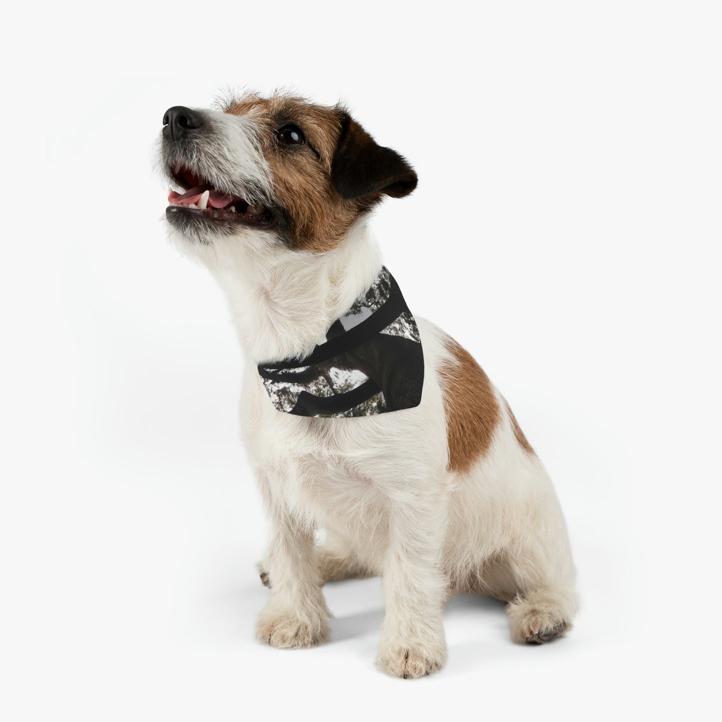 "The Treeling's Darkest Shadows" - The Alien Pet Bandana Collar #nft