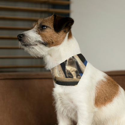 "Kitty in the Ruins" - Das Alien Pet Bandana Halsband