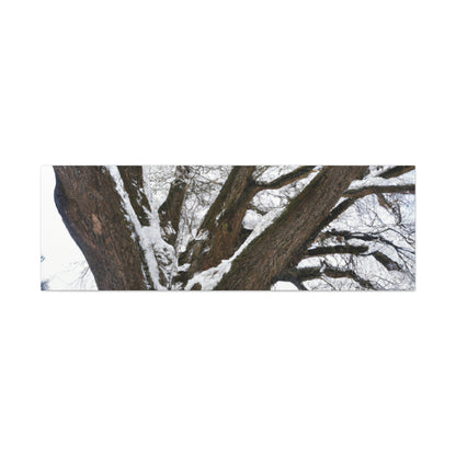 "Winter Wonderland Tree" - The Alien Canva