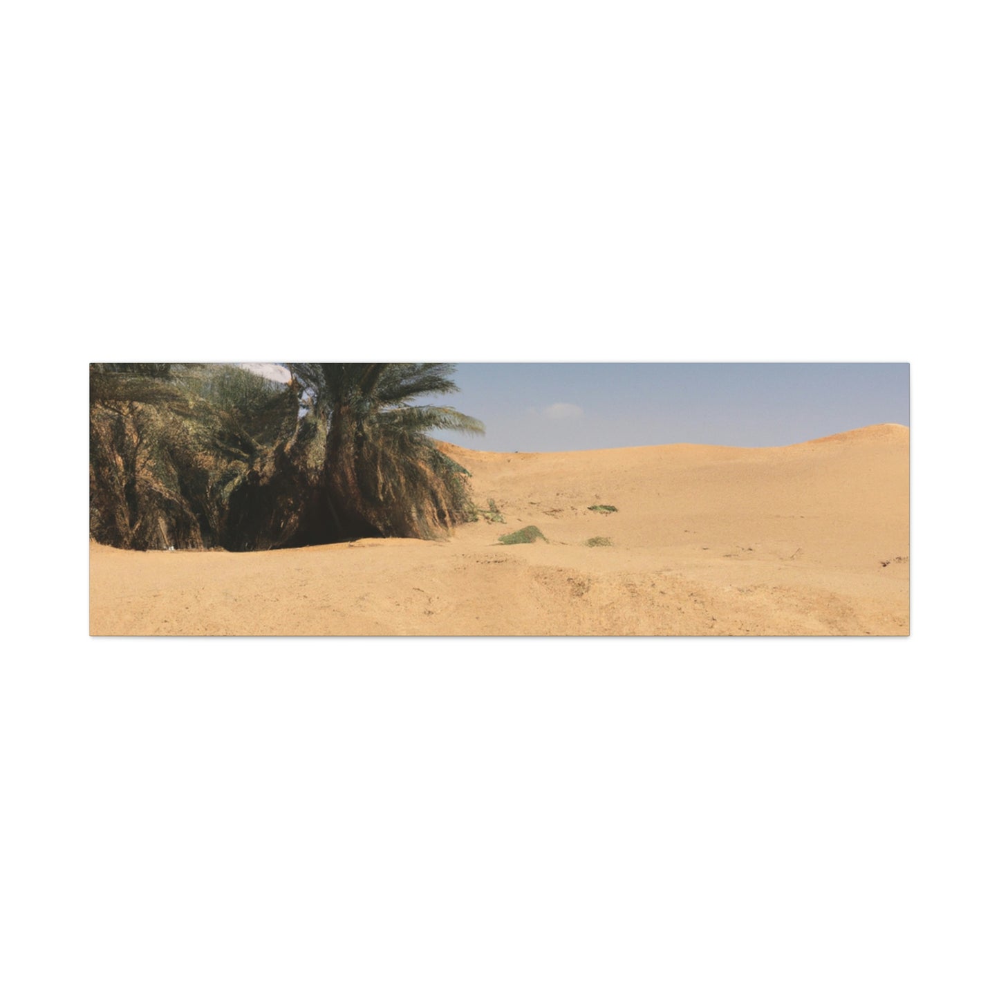 "A Desert Oasis" - The Alien Canva