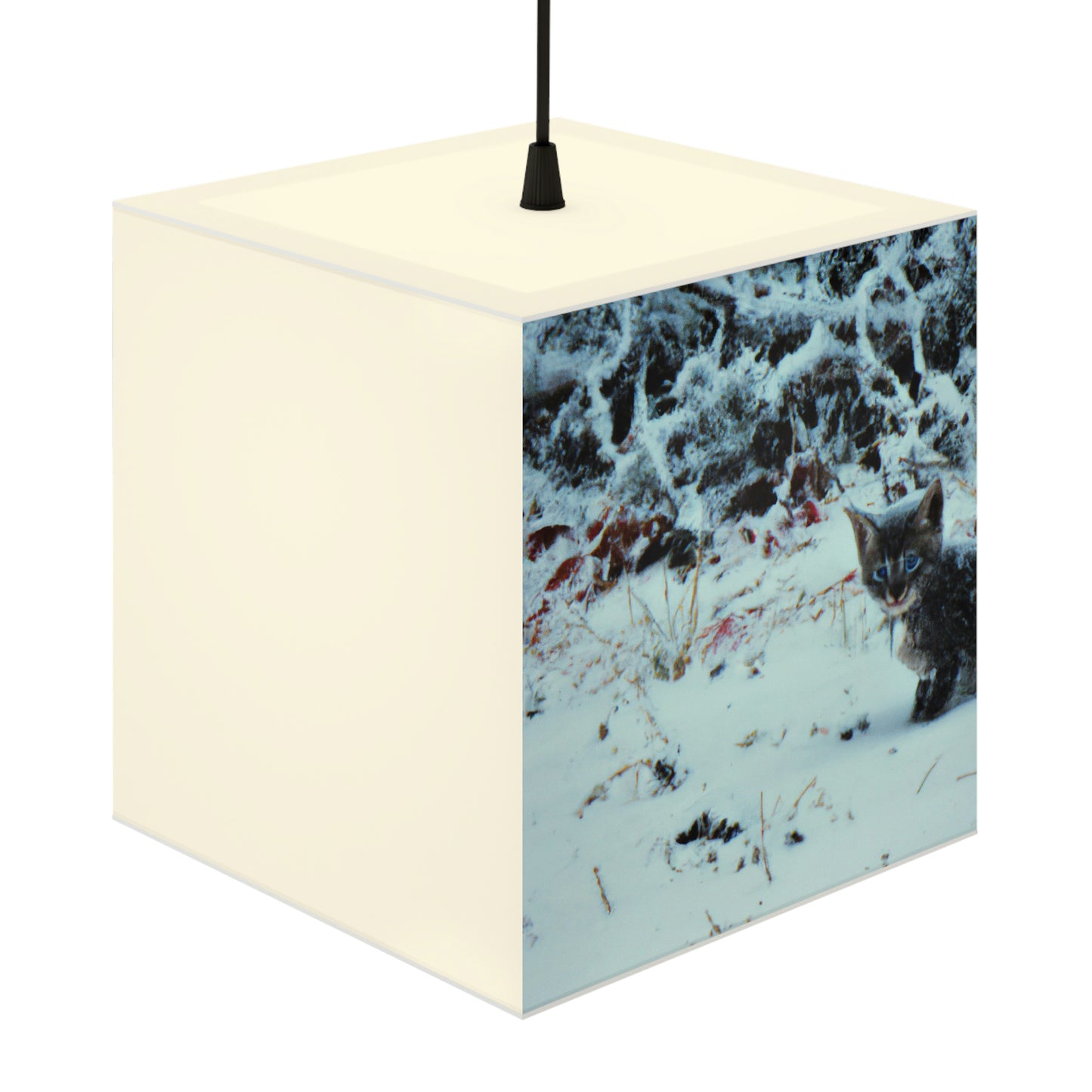 "Brave Kitten in the Frozen Storm" - The Alien Light Cube Lamp