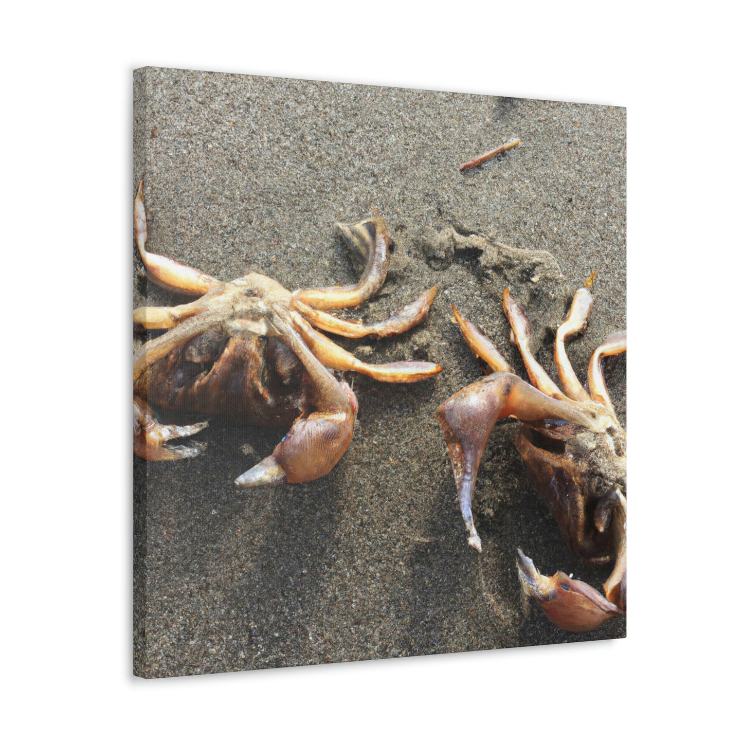 "Crab Creatures from the Sea" - The Alien Canva