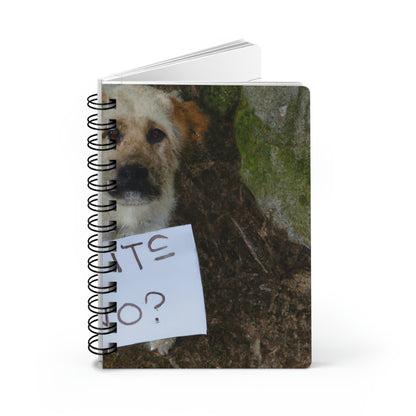 "A Heartbreaking Search: The Lost Dog's Plea for Reunion" - The Alien Spiral Bound Journal