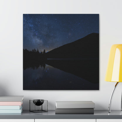 "Una tranquilidad iluminada por las estrellas" - The Alien Canva