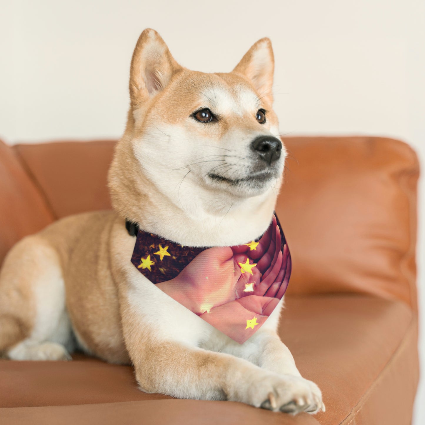 "A Starry Wish in My Pocket" - The Alien Pet Bandana Collar