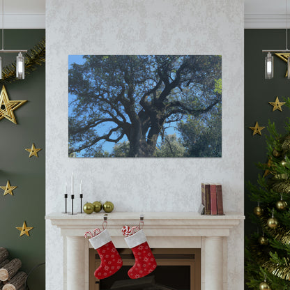 "Wish Keeper: The Magical Tree" - The Alien Canva