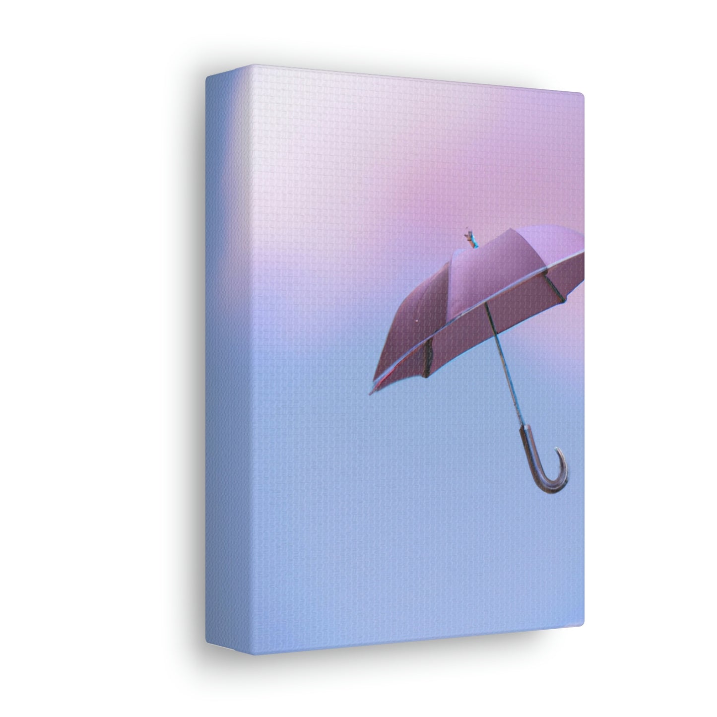 "Dream Umbrella" - The Alien Canva