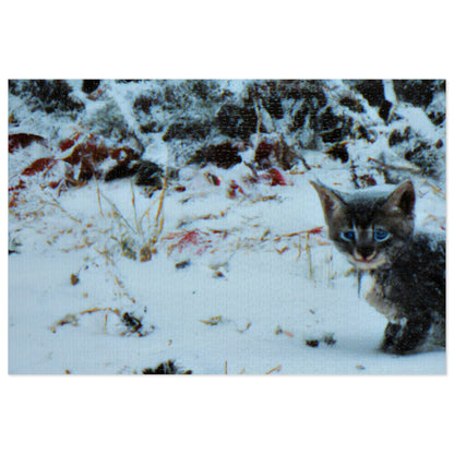 "Gatito valiente en la tormenta congelada" - El rompecabezas alienígena