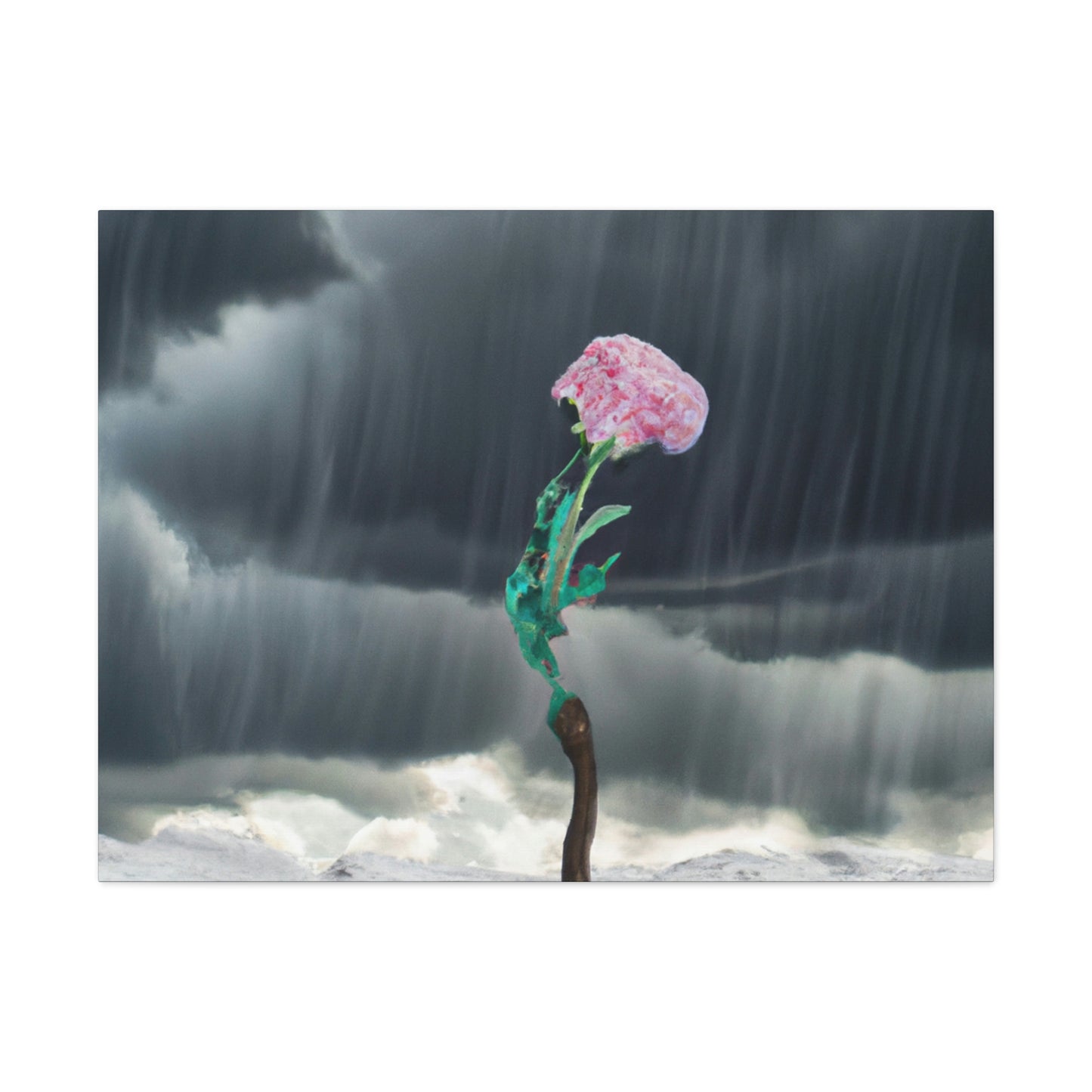 "Aight Against the Storm: La historia de una flor solitaria" - The Alien Canva